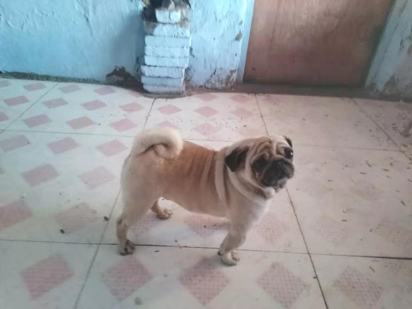 ΢��ͼƬ_20210208111932.jpg