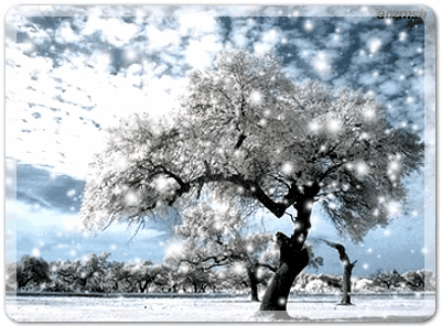 2021_1108_4f9314bag00r29e2200a9c000b40088g.gif
