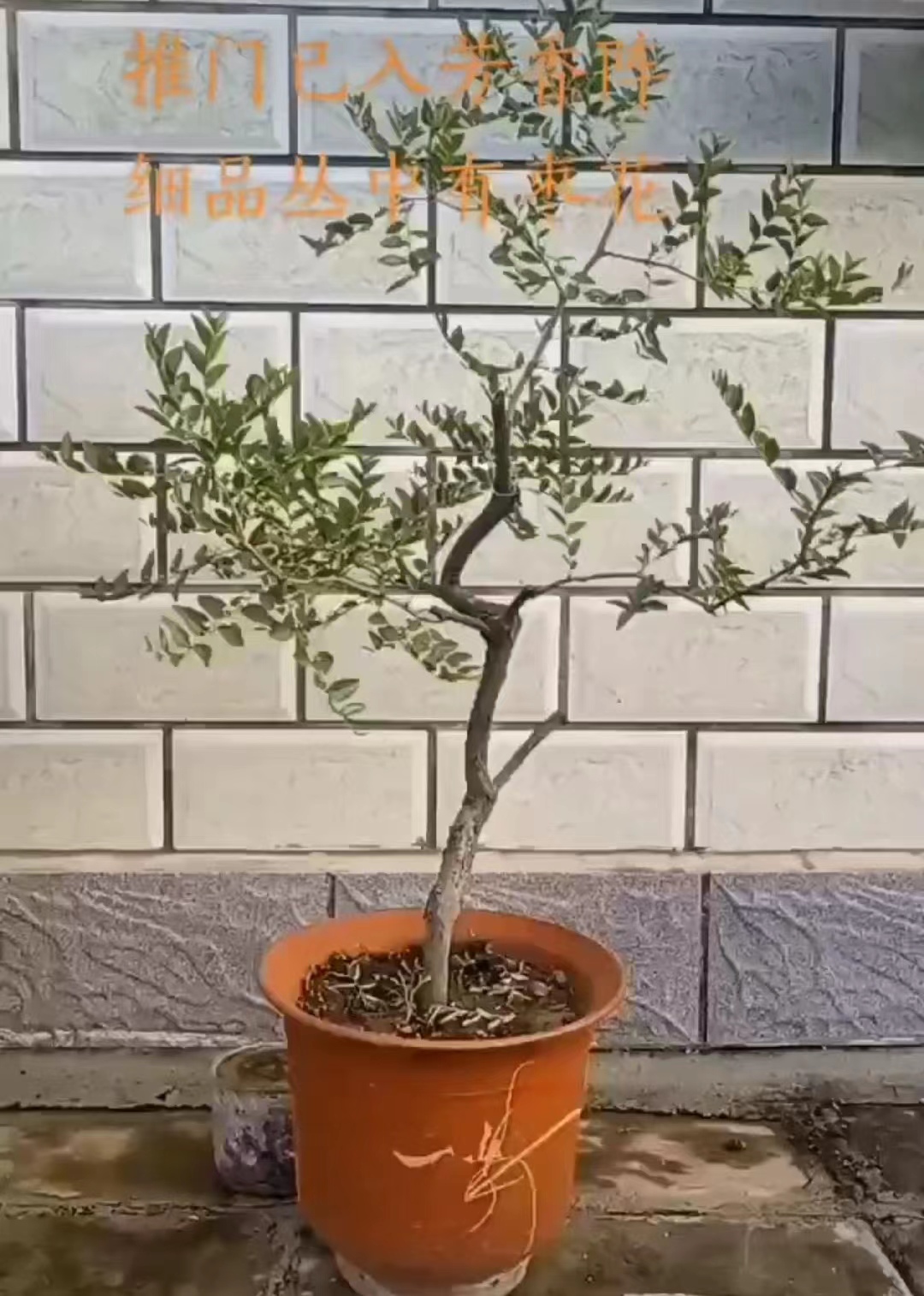 ΢��ͼƬ_20220529231818.jpg