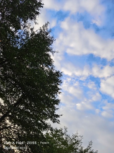 IMG_20221109_070510.jpg