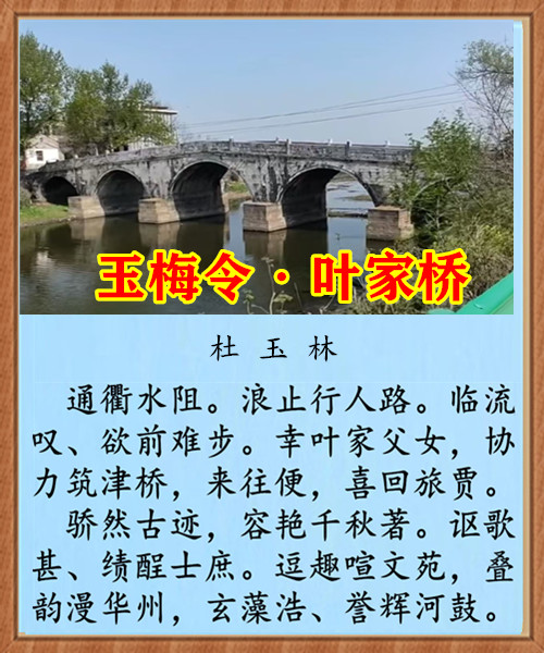 1461��÷��Ҷ����.jpg